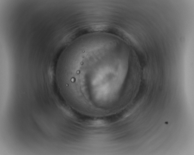 X0000114100741200910131322