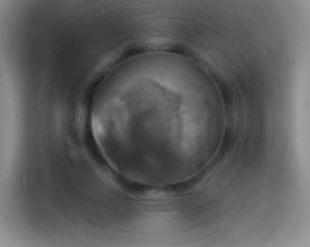 X0000114100742200910131322