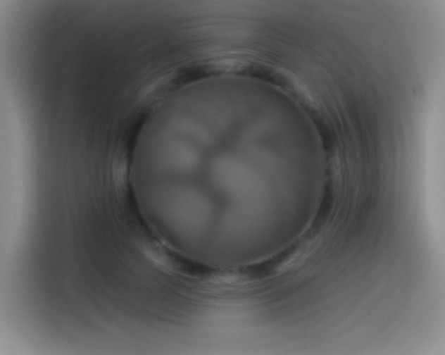 X0000114100745200910131322