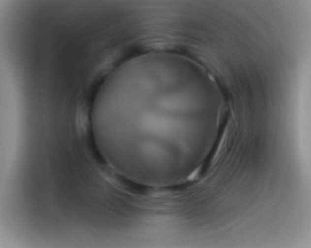 X0000114100746200910131322