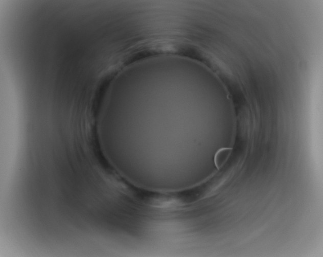 X0000114100747200910131322