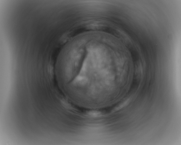 X0000114100749200910131322