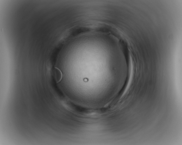 X0000114100750200910131322