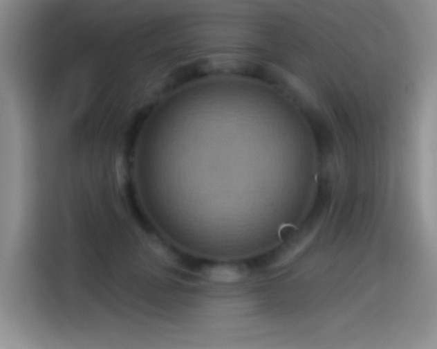 X0000114100751200910131322