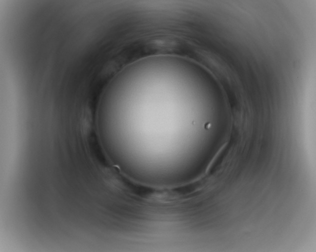 X0000114100752200910131322