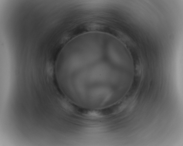 X0000114100753200910131322