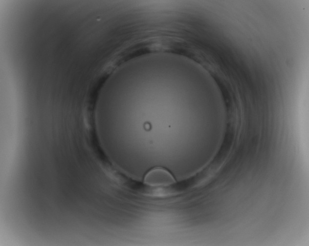 X0000114100755200910131322