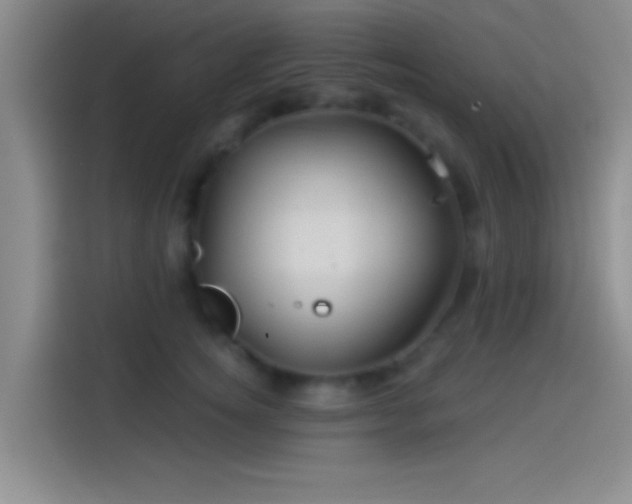 X0000114100756200910131322