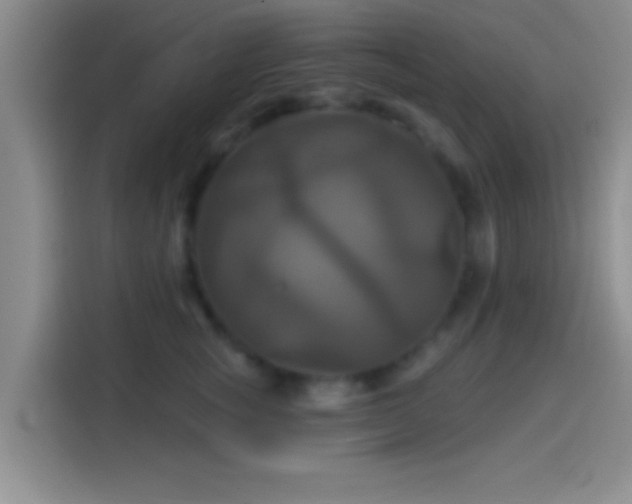 X0000114100757200910131322