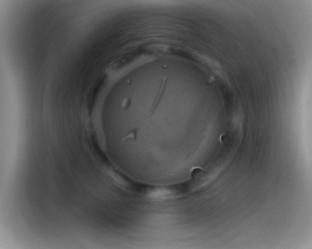 X0000114100759200910131322