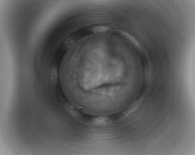 X0000114100761200910131322