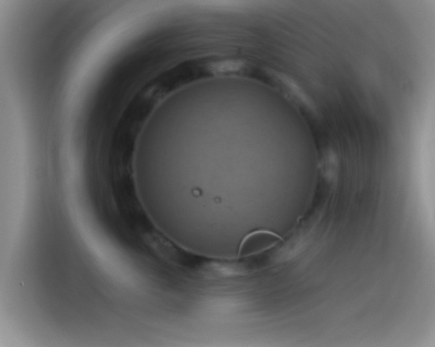 X0000114100763200910131322