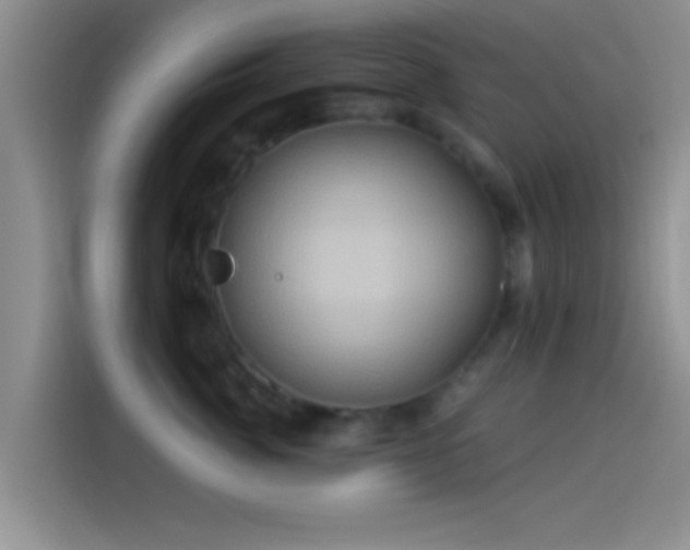 X0000114100764200910131322