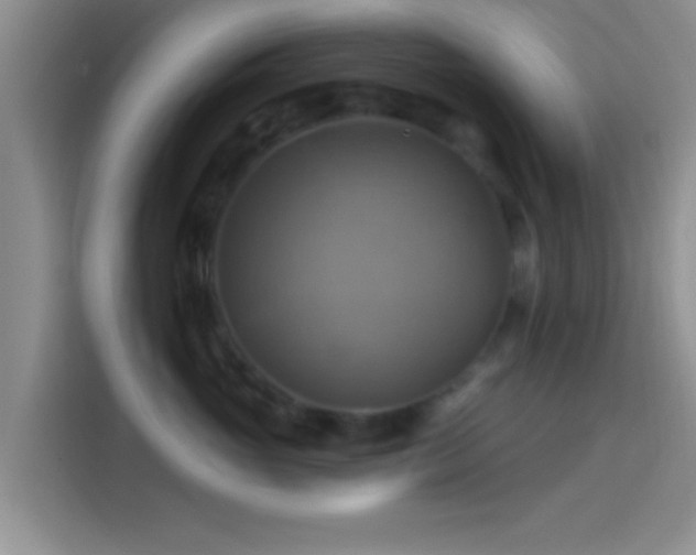 X0000114100765200910131322