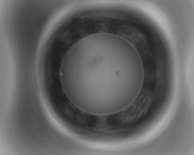 X0000114100766200910131322