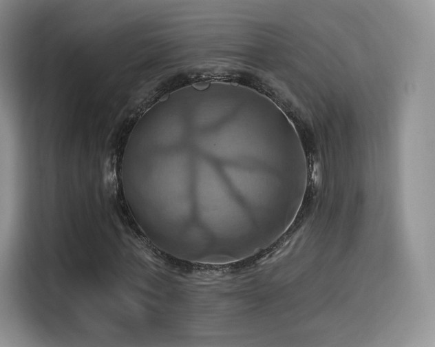 X0000114100771200910131321