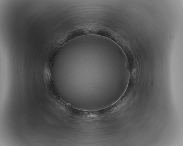 X0000114100772200910131321