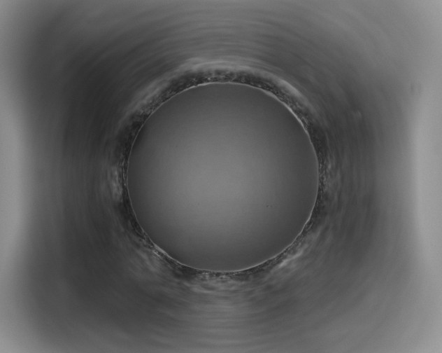 X0000114100774200910131321