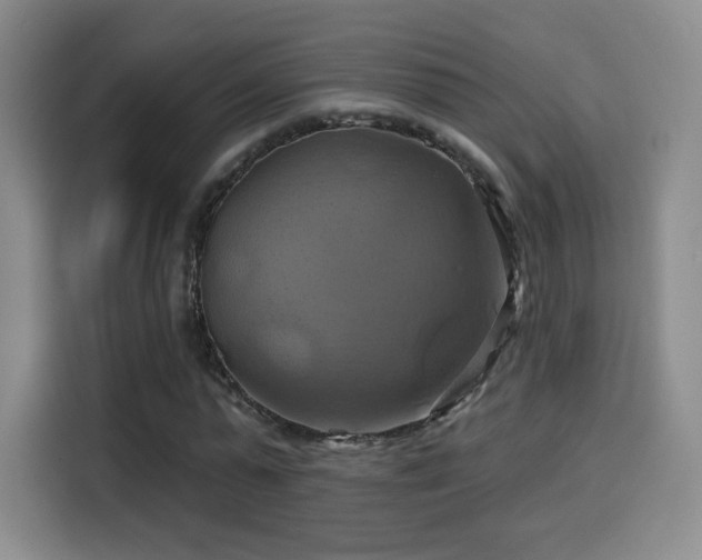 X0000114100775200910131321