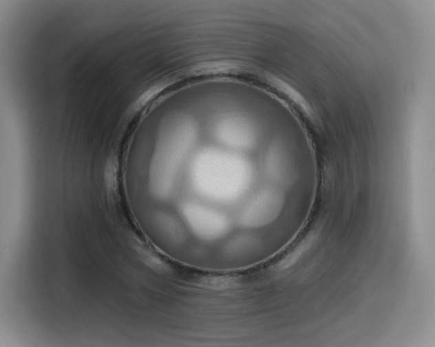 X0000114100778200910131321