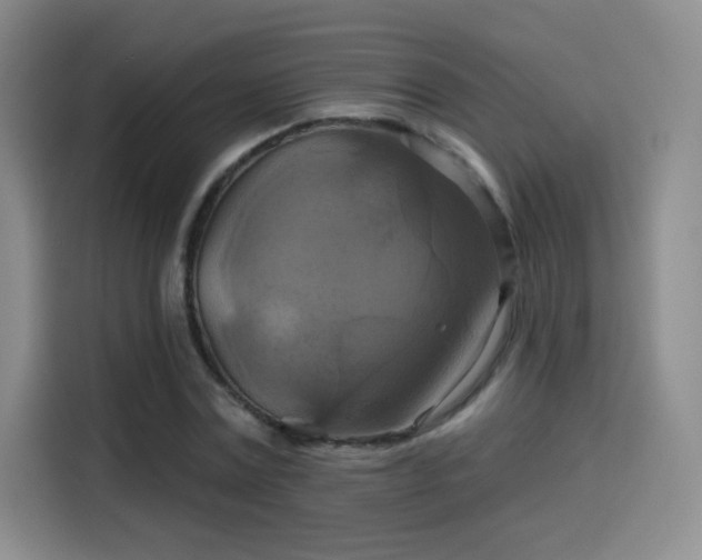 X0000114100779200910131321