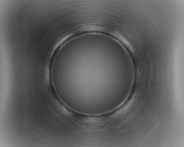 X0000114100782200910131321