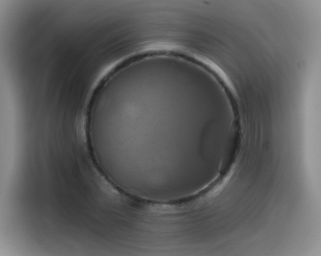 X0000114100783200910131321