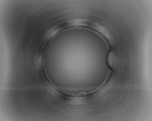 X0000114100785200910131321