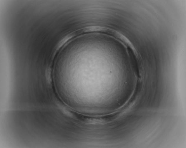 X0000114100786200910131321