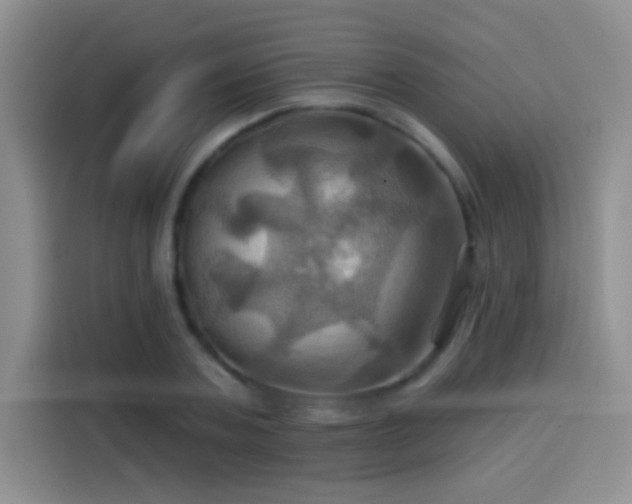 X0000114100787200910131321