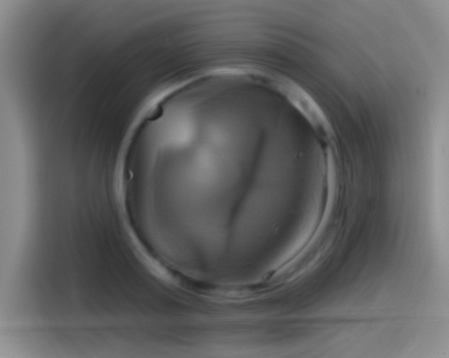 X0000114100795200910131321