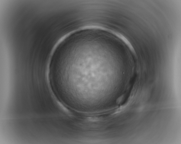 X0000114100799200910131321