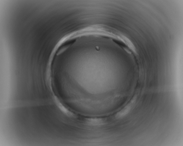 X0000114100800200910131321