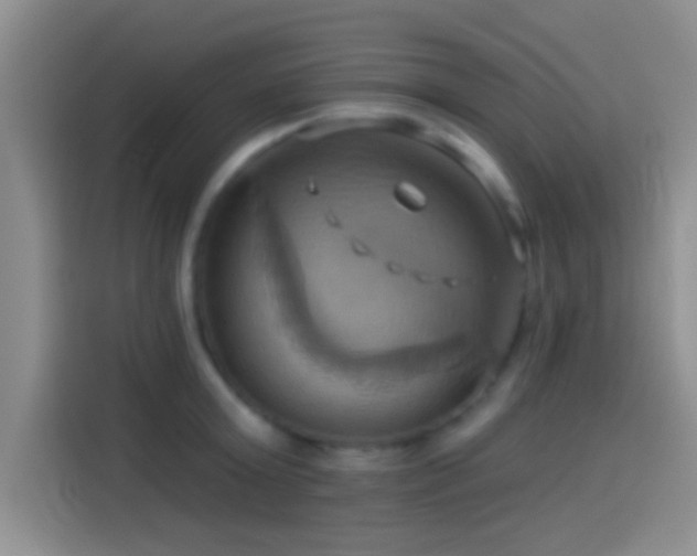 X0000114100803200910131321