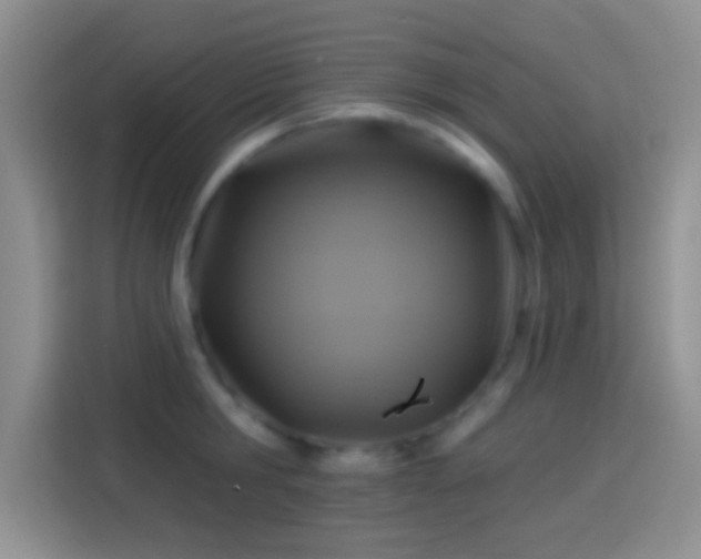 X0000114100806200910131321