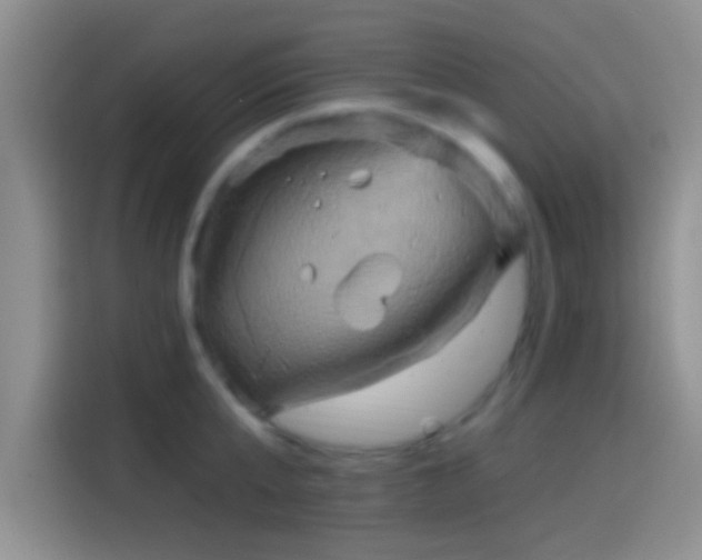 X0000114100807200910131321