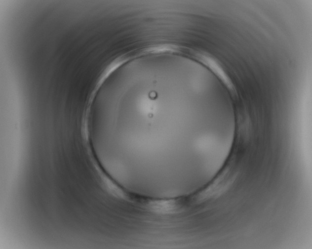 X0000114100810200910131321