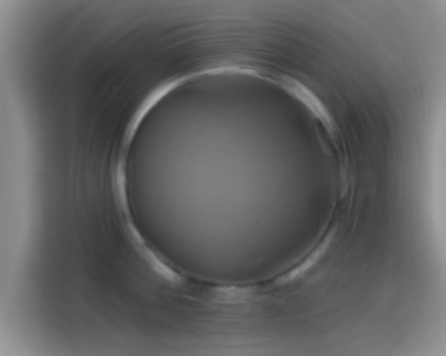 X0000114100812200910131321