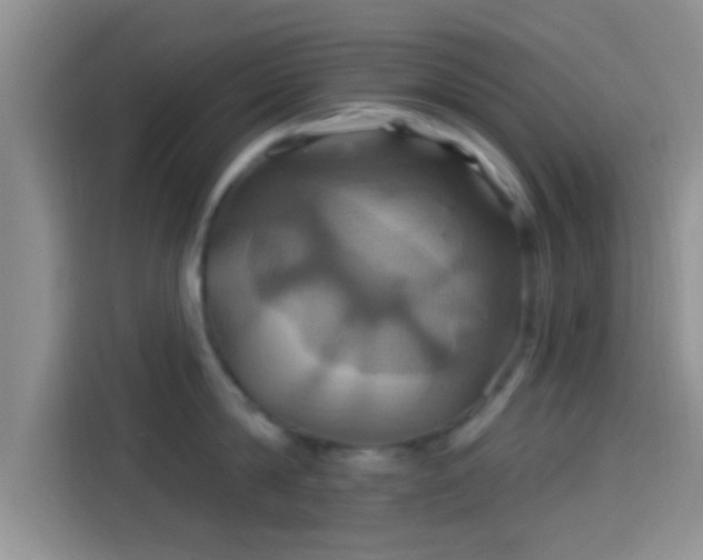 X0000114100814200910131321