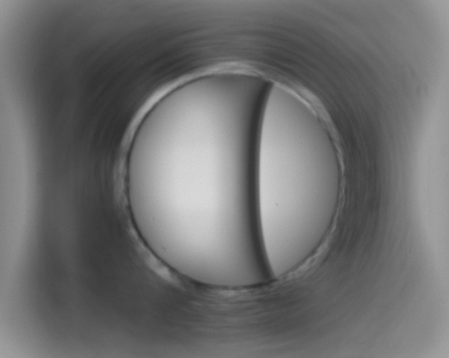 X0000114100816200910131321