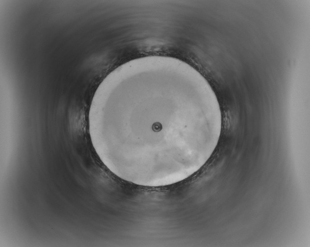 X0000114100820200910131320