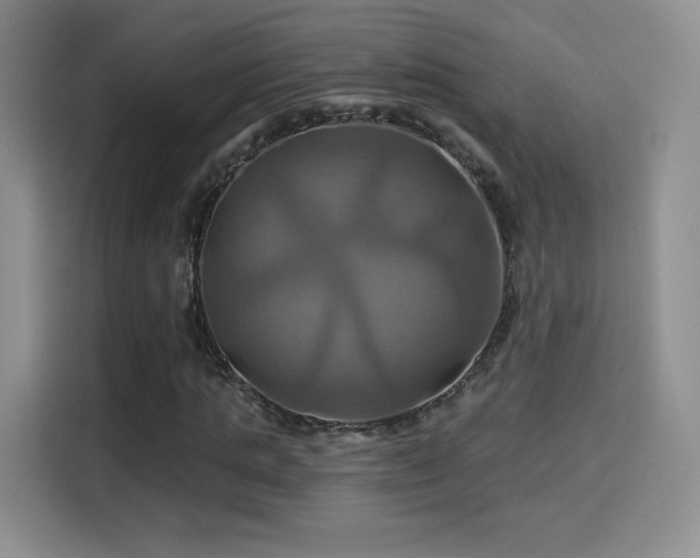 X0000114100821200910131320