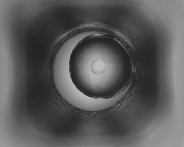 X0000114100822200910131320