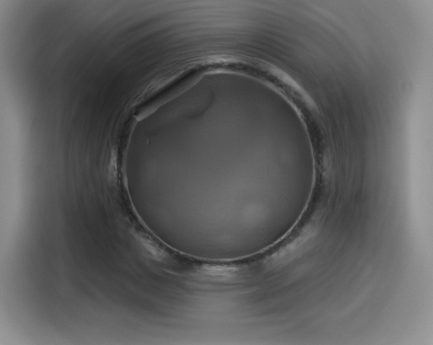 X0000114100825200910131320