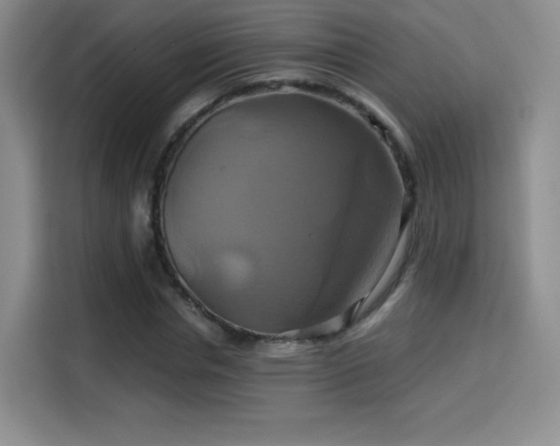 X0000114100826200910131320