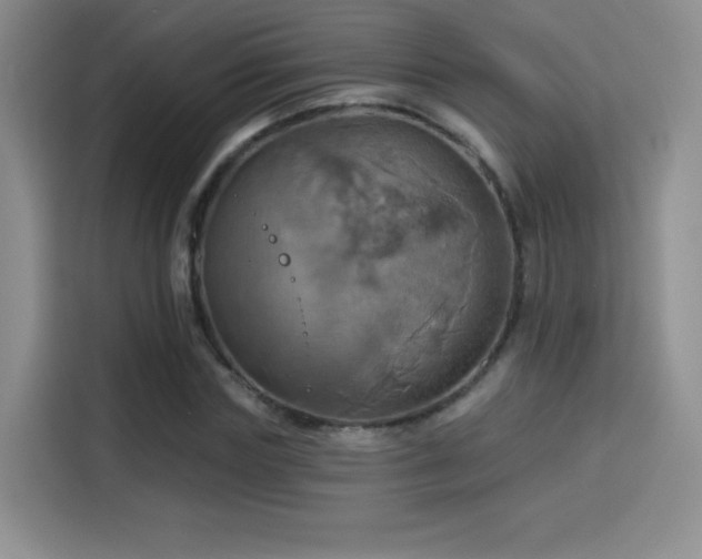 X0000114100827200910131320