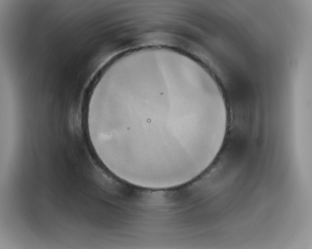 X0000114100828200910131320