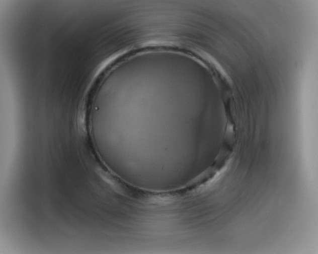 X0000114100830200910131320