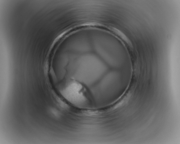 X0000114100831200910131320