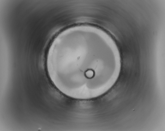 X0000114100832200910131320